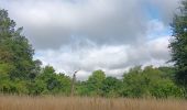 Trail Walking Eijsden-Margraten - glandouille ? non, vadrouille ! - Photo 8