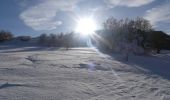 Randonnée Raquettes à neige Léoncel - Le Grand Echaillon - Les Crêtes de la Sausse - Photo 10