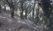 Trail Walking Banyuls-sur-Mer - 22 08 / 8-9-10 Oli40 - épisode 1 - Photo 15