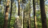 Excursión Senderismo Camors - Petit tour d'1h40 facile entre étangs, forêt et menhir - Photo 2