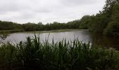 Trail Walking Guînes - Marais de Guines - Photo 9