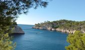 Tour Wandern Cassis - 20240904 - Photo 2