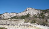 Excursión Senderismo Aurel - Le Plateau de Solaure par Aurel - Photo 14