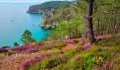 Tour Wandern Crozon - Boucle Crozon Morgat Cap de la chèvre 22 km - Photo 13