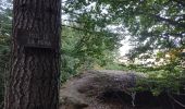 Trail Walking Orlu - Le roc de la péra - Photo 1