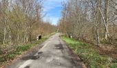 Trail Walking Compiègne - en forêt de Compiègne_48_sur les Routes de la Mariolle et du Grand Veneur - Photo 1