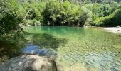 Randonnée Marche Montauroux - St Cezaire : gorges de la Siagne  - Photo 5