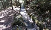 Excursión Senderismo Châteauroux-les-Alpes - Cascade de la pisse (un grand classique) - Photo 2