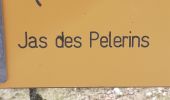 Excursión Senderismo Bédoin - Mont Ventoux Jas des Peĺerins - Photo 1