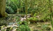 Tour Wandern Buoux - Buoux - Sivergues - Aigue brun - Photo 6