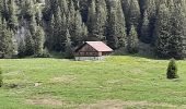 Tocht Stappen Glières-Val-de-Borne - GLIERES: TOUR DE LA MONTAGNE DES FRETES - Photo 13