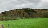 Tour Wandern Durbuy - Oei - Photo 2