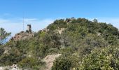 Tour Wandern Fréjus - Malpasset-Mt Vinaigre (A/R) - Photo 5