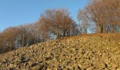 Tocht Te voet Hofbieber - Milseburg-Malerrundweg - Photo 4