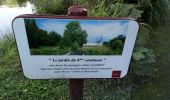 Trail On foot Péronne - La Balade Péronnaise - Photo 2