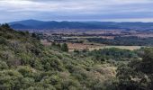 Trail Walking Rocbaron - Sainte Philomène depuis le col de la Bigue  - Photo 8
