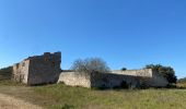 Tour Wandern Lançon-Provence - Ruine de Constantine - Chateau Virant - Photo 5