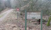 Trail Walking Baerenthal - schmalenthal, bannstein, hammerschless - Photo 1
