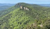 Trail Walking Belgentier - Barre de Cuers depuis Belgentier - Photo 8