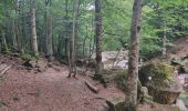 Trail Walking Orlu - Le Fanguil - Photo 9