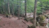 Randonnée Marche Orlu - Le Fanguil - Photo 9