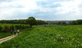 Tour Wandern Doische - De Gochenée à Vodelée par la vallée de l'Hermeton - Photo 3