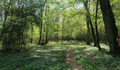 Trail Walking Mettet - Devant les boisBois - Photo 1