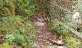 Trail Walking Bort-les-Orgues - Chute de la Saule - Photo 14