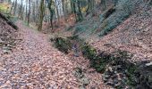 Trail Walking Chaudfontaine - gare - château des thermes /aller via les monts retour via la vesdre  - Photo 10