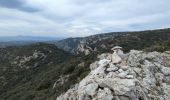 Trail Walking Cheval-Blanc - Rochers de Cairas & Onzes Heures - Photo 2