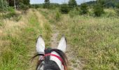 Trail Horseback riding Bastogne - Livarchamps 28 août 2021 - Photo 11