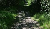 Trail Walking Pontgibaud - LA CHEIRE DE PONTGIBAUD - Photo 8