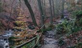 Tocht Stappen Jalhay - Hoegne-Polleur-Statte-Dolmen - Photo 12