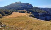 Trail Walking Omblèze - roc de Toulaud /tête de la Dame / mur des Chartreux - Photo 1