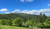 Trail Walking Mont-Dore - Capuçin-Sancy - Photo 11