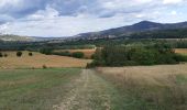 Randonnée Marche Montpeyroux - SUR LE CHEMIN DE L'ARKOSE - Photo 3