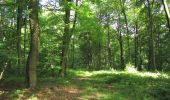 Tocht Stappen Dampleux - en forêt de Retz_82_sur les Routes de la Bruyère aux Loups et de la Chrétiennette - Photo 17