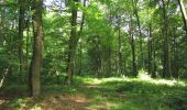 Randonnée Marche Dampleux - en forêt de Retz_82_sur les Routes de la Bruyère aux Loups et de la Chrétiennette - Photo 17