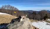 Trail Walking Stosswihr - Les 3 Fours - col de la Schlucht - Photo 1