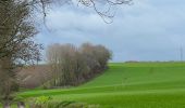 Randonnée Marche Genappe - #230109 - Loupoigne, réserve naturelle de la sucrerie - Photo 12