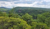 Tocht Stappen Bruniquel - bruniquel le cabeo - Photo 3