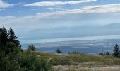 Randonnée Marche Gex - Balade à Col de la Faucille, Gex - Photo 6