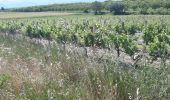 Tour Rennrad Bourg-de-Péage - cueillette de L'herbasse  - Photo 7