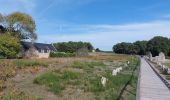 Trail Walking Carnac - PR_56_Carnac_AA_01_Les-Alignements_Circuit1b_20221009 - Photo 9