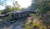 Randonnée Marche Fontainebleau - Fontainebleau sentier Denecourt 3 - Photo 5