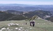 Excursión Senderismo Saint-Jurs - col de st jurs_montdenier - Photo 2