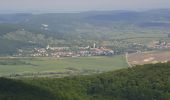 Tour Zu Fuß Felsőtárkány - Vár-hegyi tanösvény - Photo 6