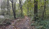 Trail Walking Lubbeek - Lubbeek 19,7 km - Photo 5
