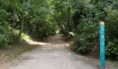 Tocht Stappen Saint-Maur-des-Fossés - GR15-02 Saint-Maur-des-Fossés à Gagny - Photo 1