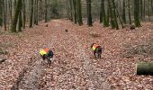 Randonnée Marche Léglise - Bombois - Photo 3